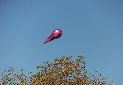 Sirius Signal