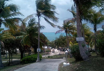Green Turtle Cay