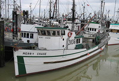 Merry Chase