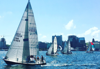 Metro Regatta