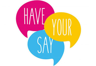 Have Your Say