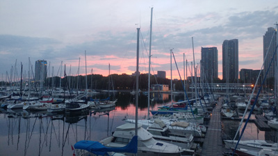 AYC Harbour