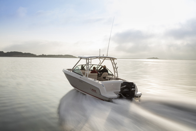 Boston Whaler 230 Vintage