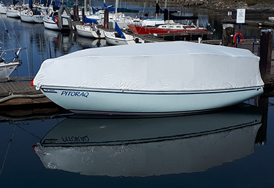 The Quarantine Ark Floats