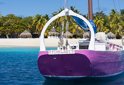 SVG Opens Pink Lady