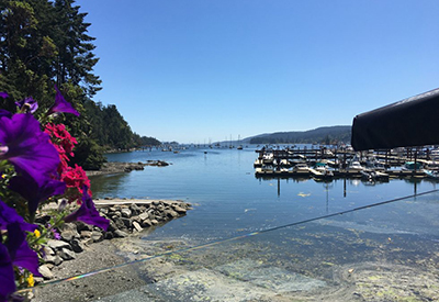 Schooner Cove Yacht Club