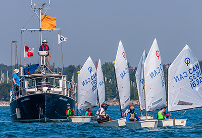 Seahorse Regatta