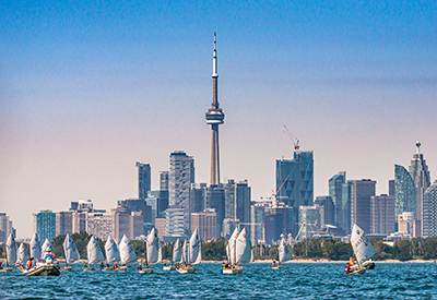 Seahorse Regatta
