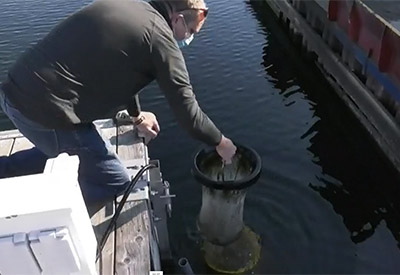 CTV News Covers Seabin