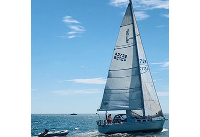 J40 Artimisia