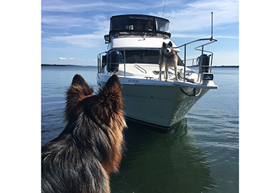 Siku and Murphy