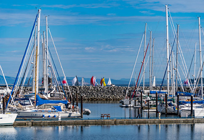 Port Sydney Marina