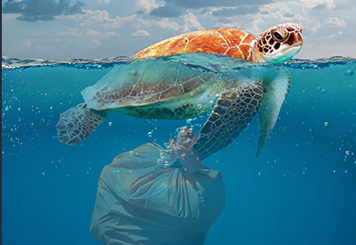 The Problem of Plastics