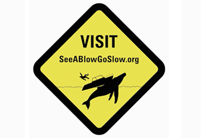 Sea Blow Go Slow