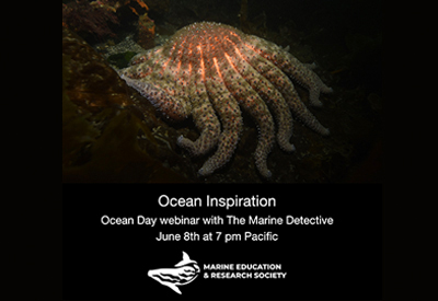 CYOB-2-OceanDay-400.jpg