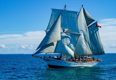 STV Pathfinder