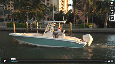 boston whaler 250 dauntless