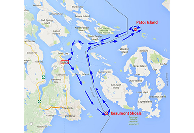 SinC Patos Race Long Course Map