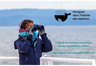 CPS-22-11-LobservationDesBaleines-400.jpg