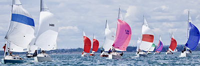 SinC Shark World Championships August