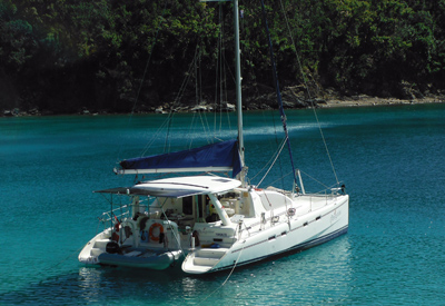 Leopard 43