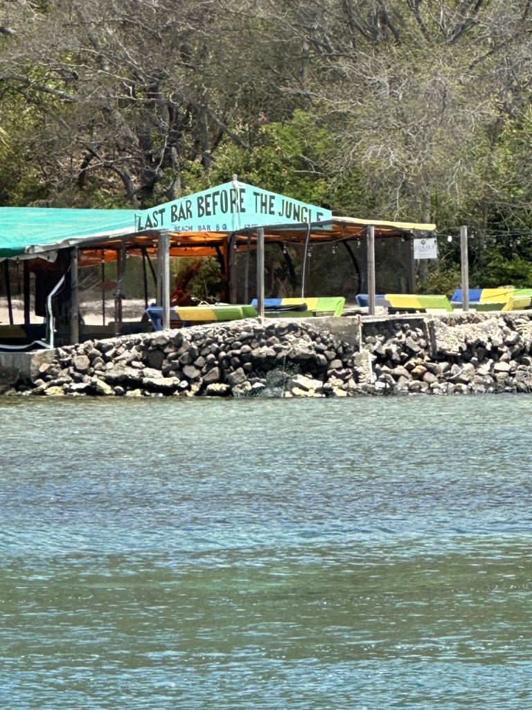 Last Bar Before the Jungle