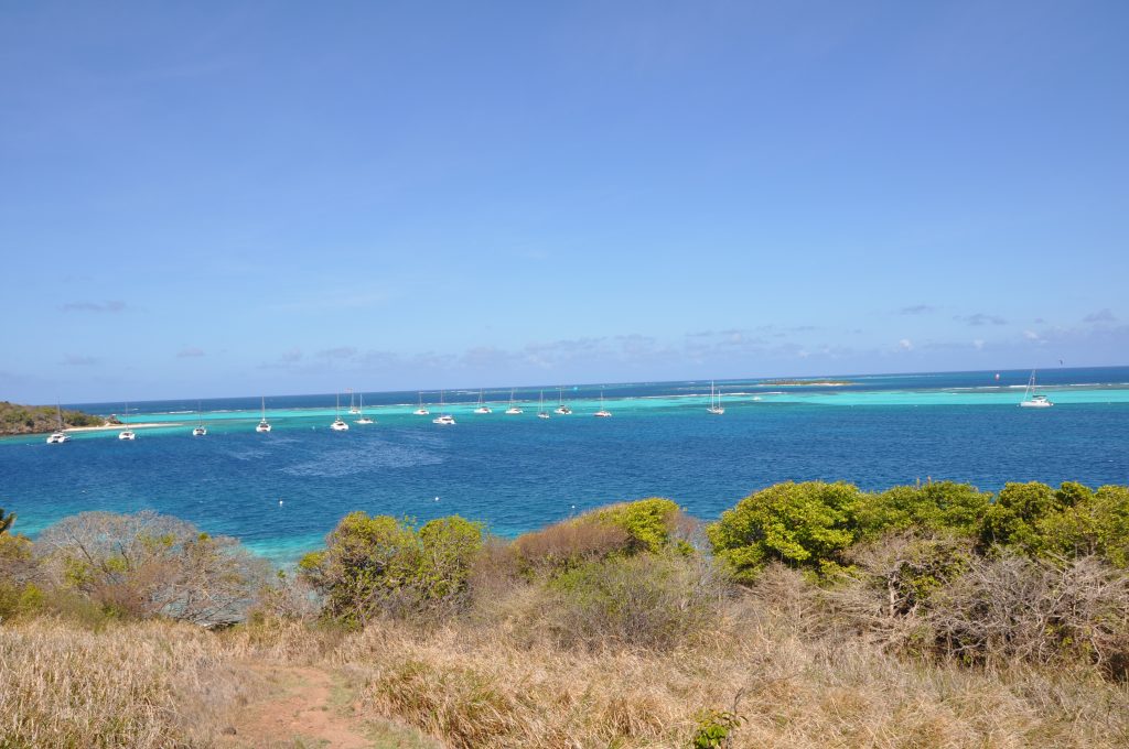Tobago Cay