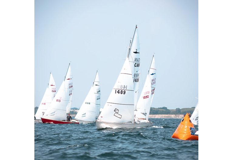 Shark Worlds Coming to Whitby ON