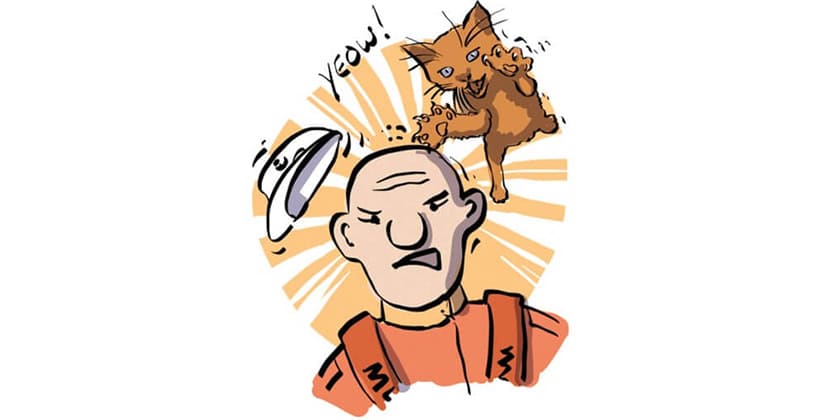 Cat Superstitions